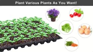 10PCS Tray Semai 21/32/50/72/105/128/200 Lubang Potray 0.8mm Seedling Tray Dulang Benih Berkualitas Tinggi