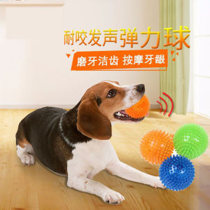 Pet Dog Toy Bite-Resistant Training Ball Sound Elasticity Golden Retriever/Border Collie Teddy Small Medium and Large Dogs Molar Tooth Cleaning