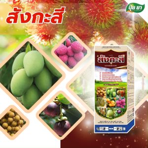 สังกะสี ป้องกันใบแก้ว ใบลาย กระตุ้นการแตกตา ป้องกันการขาดสังกะสี ส่งเสริมการเจริญเติบโต ปุ๋ยยา หลายขนาด