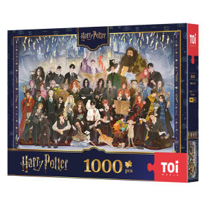 Toi | Harry Potter Ensemble Puzzle 1000 pieces