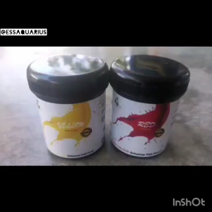 Foursome Fish Patch Pellet feed 60g Complete Color & Health Enhancement Fish Food Pellet for Molly Betta Guppies