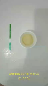 ชุดตรวจฉี่ม่วงเมทแอมเฟตามีน ยาบ้า ไอซ์ ชนิดจุ่ม ชุดตรวจสารเสพติด (แพ็ค 1 ชุด) kgd.store