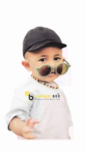 Bestseller Kalung Amber Bee Tumbuh Gigi Anak Premium Glossy Multicolor By Amber Bee NGM01