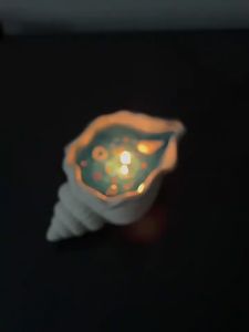 Scented Candles 135g Conch Tray Lilin Jeli Gaya Laut Candle Aromatherapy Ornament 95X55X45CM