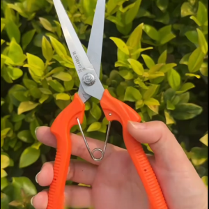 Bonsai168 Gardening Pruning Shears | Needle Nose Fruit Cutter | Bud & Flower Thinning Scissors for Bonsai & Plants
