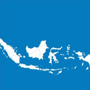 Bosch WGG454A0ID Mesin Cuci Bukaan Depan Serie 6 | 10 kg