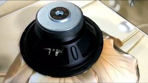 Loa bass 25 sony từ 120 côn 38 4 lớp màng vải gân mút lòng cực sâu- giá 1 chiếc