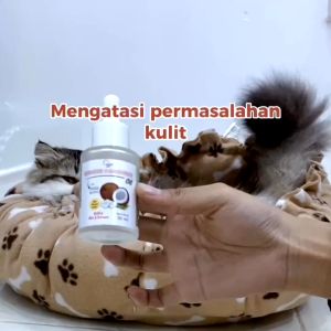 Pawsitive Vibes Virgin Coconut Oil Kucing Anjing - Vitamin Hewan Anti Jamur Scabies dan Bulu Halus - VCO Kucing Murni Minyak Kelapa 30ml