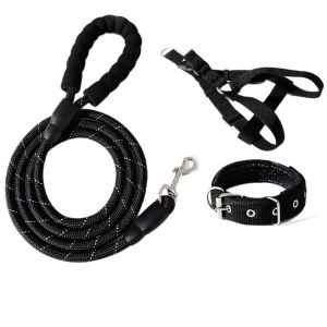 VOA | Pet Leash for Small Medium Large Puppies and Dogs