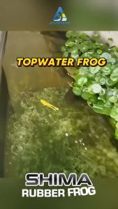 Soft Frog Killer Kaeru Marimo Cablak Shima 2.5 2.8 3.0 3.5 4.0 6.0 cm Umpan Pancing Rubber Frog Kodok Froggy Umpan Casting Gabus Toman Umpan SoftFrog Andeman Mini Murah - Lazada