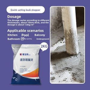 CARPOLY | Fast-Setting Leak Sealing Cement Mortar