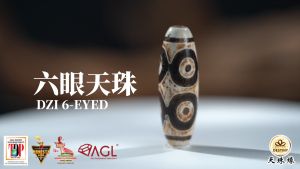 六眼虎牙天珠 6 EYED DZI TIGER TOOTH 顺利之珠 西藏老天珠 ANTIQUE DZI WEALTH CAREER SMOOTH LUCK DZI手链/项链 Bracelet/Necklace DZI DESTINY 天珠缘