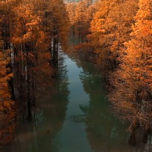 Insulated Cooler Bag Portable Travel Beach Picnic Camping Storage Bag Keep Cold And Warm