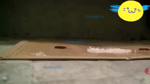 Alat Penangkap Pembunuh Pengusir Curut Kecoa Cicak Siap Pakai / Mouse Glue Trap