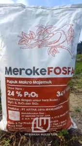 Pupuk Dasar Untuk Tanaman Meroke Fosfat 1 Kg Repack Pemacu Pertumbuhan
