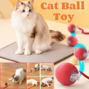 Automatic Cat Ball Toy: A Fun & Durable Option for Your Furry Friend