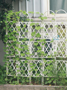 European Style Iron Art Flower Stand Screen Vine Plant Stand Outdoor Balcony Rose Flower Support Frame Garden Wall Grid