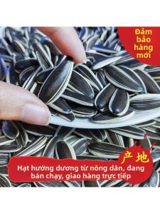 Original Roasted Sunflower Seeds