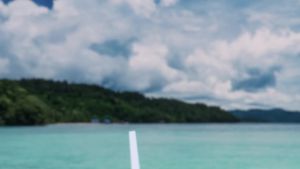 SAMSUNG MICRO SD W/ADPT PRO ULTIMATE (128GB/256GB/512GB)