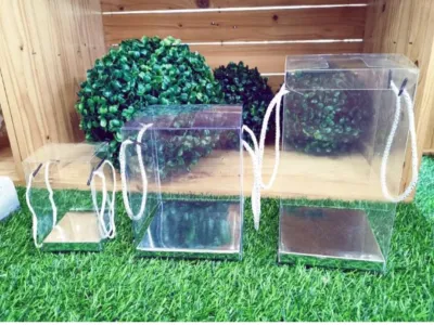 BOX PVC TRANSPARENT GIFT BOX KOTAK PVC (10PCS)