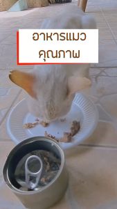 แพค X10 อาหารแมว กระป๋องเปลือย อาหารแมวเปียก จากโรงงาน ส่งออก ล๊อตใหม่ ราคาถูก 85 - 185 กรัม ทูน่าขาว ทูน่าแดง ไก่ อาหารหมา Oasis Cat Food