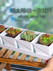 Meizhong Plastic Thickened Slim Tray Flower Stand for Window Sill Storage Flower Pot Narrow Water Receiver Root-Controlling Baimu Basin