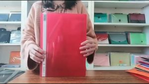 High Quality Management Plastic Report Cover Folder File A4 Size