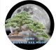 VKMJ bonsai all shop