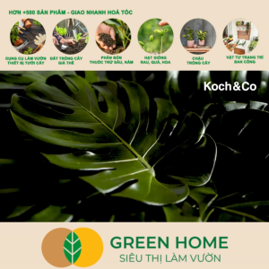 Chai Xịt Bóng Lá LEAF SHINE GreenHome Chai 840ml Giúp Lá Cây Bóng Sáng Tự Nhiên Sạch Bụi Lâu Dài