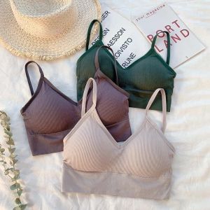 M491 ÁO BRA QUẢNG CHÂU MẪU MỚI