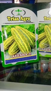PAKET HEMAT 5 Bungkus Benih Timun Suri Alesha 21 F1 kemasan 10 gr
