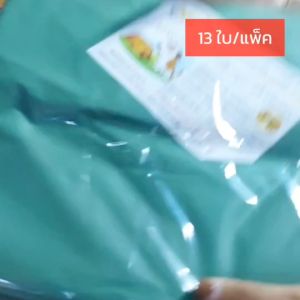 ถุงใส่ 24x45 ยางพารา ปลูกยาง กรีดยาง ต้นยาง ปลูกยาง คุณภาพ: ถุงใส่เศษยาง, ถุงเก็บยาง, ถุงเก็บขี้ยาง