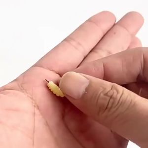 Rubber Maggots Fishing Bait Set with Hooks - Versatile Grub Lures for BassTroutCrappieBluegillIdeal for Freshwater Fishing