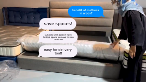 BETTY COMPRESSED Urban Spring Mattress 10 inch / Mattress in a Box / Tilam Compress / Size Single / Queen / King