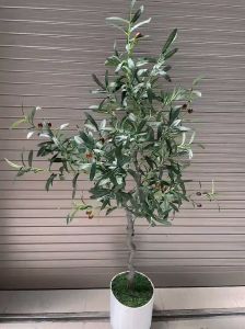 Cây oliu giả - Size 130cm đến 160cm - Oliu giả lõi thép trang trí - Cây giả hoa lụa Decor trang trí nhà cửa