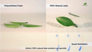 Bumble Bee 100% Natural Latex Baby Cot Mattress [Free Cotton Fitted Sheet]