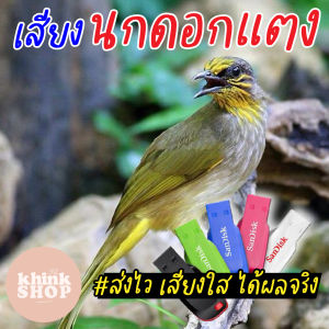 เสียงต่อนกดอกแตง นกปรอดคอลาย เมมเสียงต่อนกดอกแตง นกปรอดคอลาย แฟลชไดร์ฟเสียงต่อนกดอกแตง นกปรอดคอลาย มีเก็บเงินปลายทาง เสียงนกดอกแตง เสียงนกดอกแตง Mp3 - Lazada