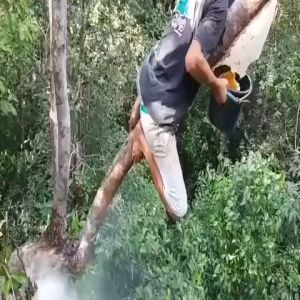 100% Madu Liar Asli Royal Jelly Semula Jadi Tinggi Nutrisi Minuman Kesihatan Tenaga Imunisasi Badan