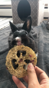 Rose Petals Infused Loofah Chew Pack | No Furries Delights | Oat-Free Chew Treats or Toys for Small Animals & Birds