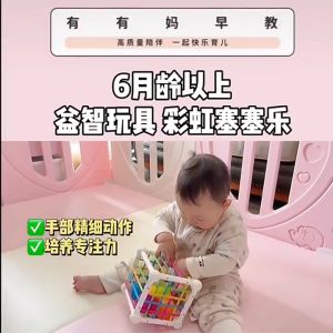 Rainbow Shape Sorting Circle Baby Toy 塞塞乐玩具 Training Skill Touch Grasp Color Sensory Cube Educational Montessori Toddler