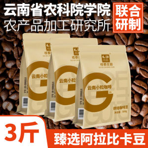 Small Bean Coffee Beans Fresh Roasted Ground American Style Black Coffee Powder Special for Coffee Shop 3 Pounds Yunnan Origin