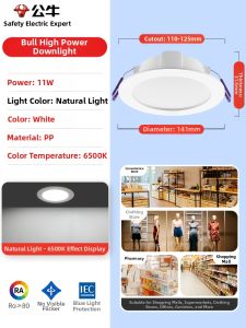 BULL| High Power Commercial Recessed Downlight