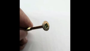 300 PCS SQUARE HEAD (SQ1) WOOD SCREW 3.5 X 30MM / 3.5 X 50MM