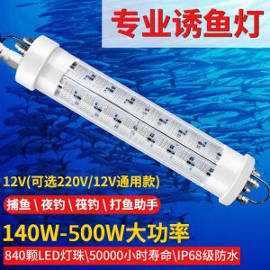 High Power Fishing Light Attracting Fish Underwater Raft Fishing Lamp Gathering Fish Lamp 12V Submersible Fishing Light