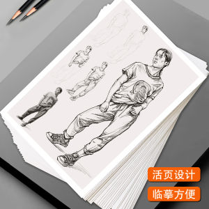 Art Training Teaching Drawing Basic Self-study Entry High Definition Printing 48 Sheets Original Sketch Cards Chinese Style