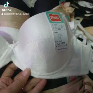áo lót nữ zenny bigsize trơn bảng to 3 móc bigsize 34-36-38-40