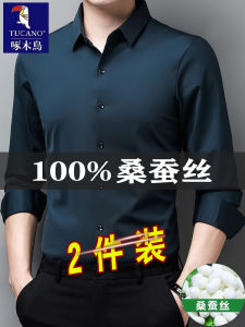 Business Casual Long Sleeve Silk Shirt Mens New 2024 Loose Fit No Ironing Required Mulberry Silk Button Decorated Shirt