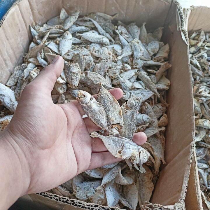 Ikan Asin Rebus Selar Siapa Sak Untuk Lauk Makan Terutama Untuk Nasi Liwet Isi Bersih Gram