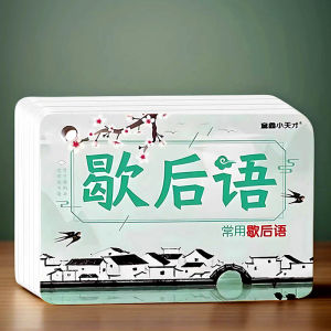 Portable Small Size Cards for Primary School Students Comprehensive Collection of Idioms Phrases And Expressions Easy to Carry Learning Tools