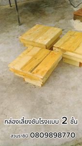 กล่องเลี้ยงชันโรง 2ชั้น แบบแยกเก็บน้ำหวานไว้ชั้นบน เลี้ยงชันโรงทุกสายพันธ์ ทาเคลือบรักษาเนื้อไม้ทุกกล่อง ทาฟีโรโมน+ขี้ชัน